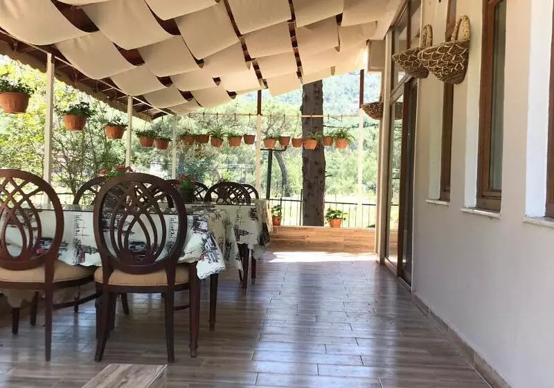 تختخواب و صبحانه Adrasan La Casita
