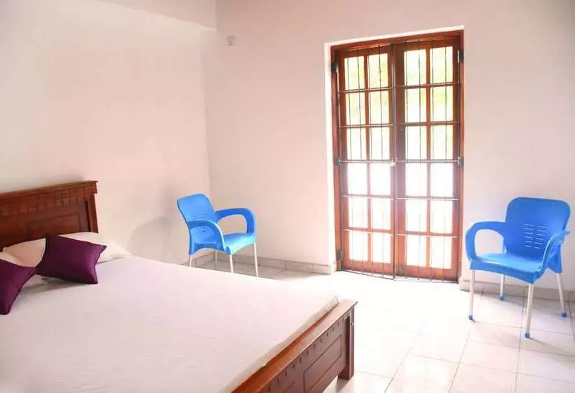 Ceylon Hostel   Colombo Int Airport