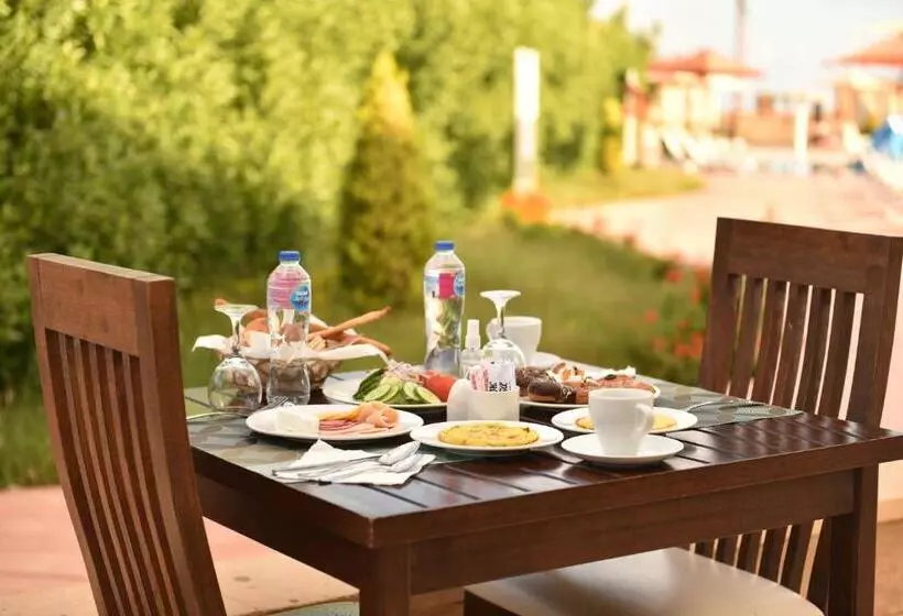 هتل Aura Resort Sidi Abd El Rahman El Alamein