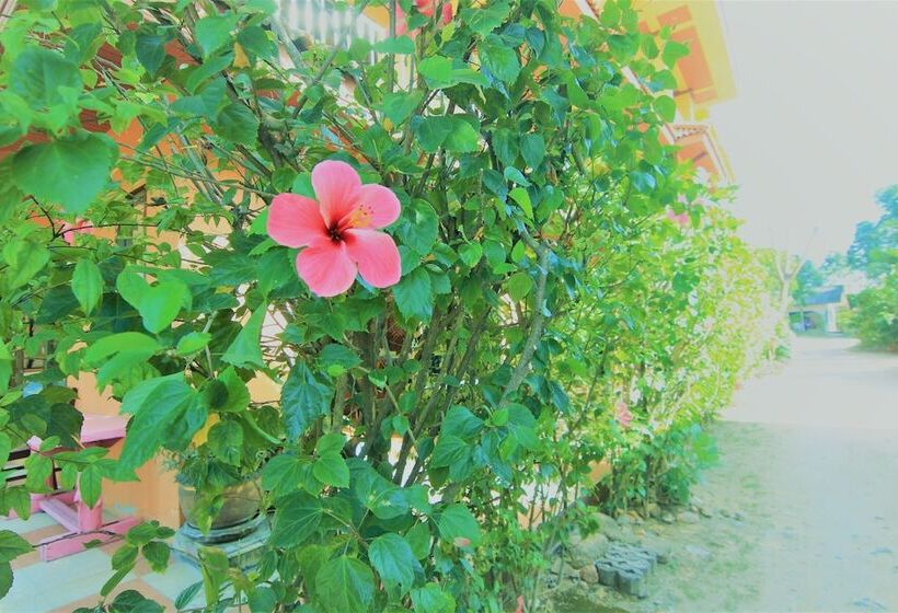 فندق Hibiscus Samui