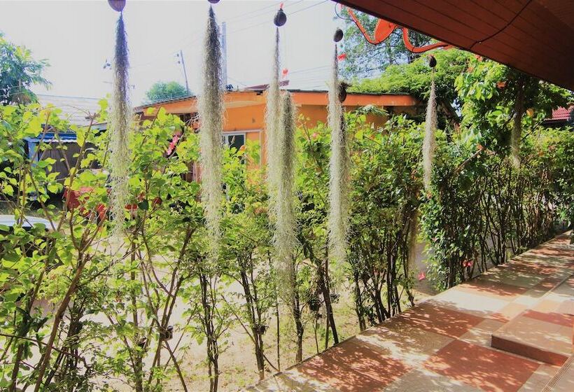 فندق Hibiscus Samui