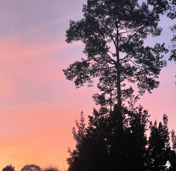 Szálloda Marilyn’s Resort Koh Samui