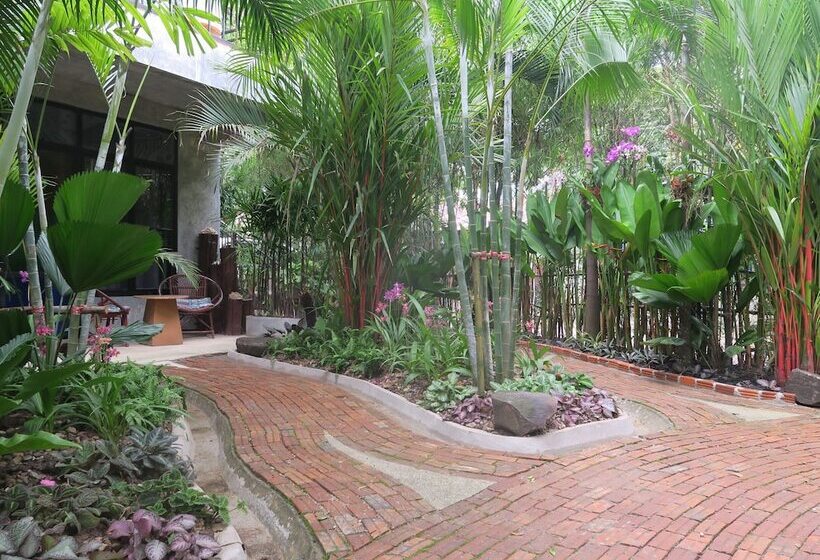 בית מלון כפרי The Picturebook Guesthouse