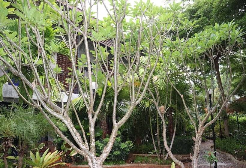 בית מלון כפרי The Picturebook Guesthouse