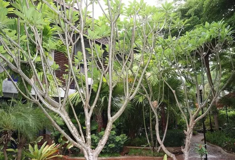 Hotelli The Picturebook Guesthouse