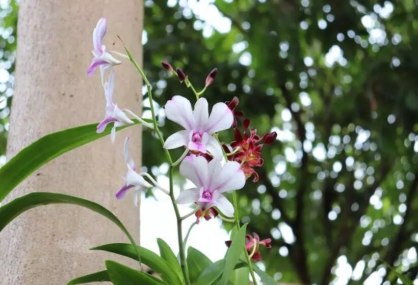 Hotelli The Picturebook Guesthouse