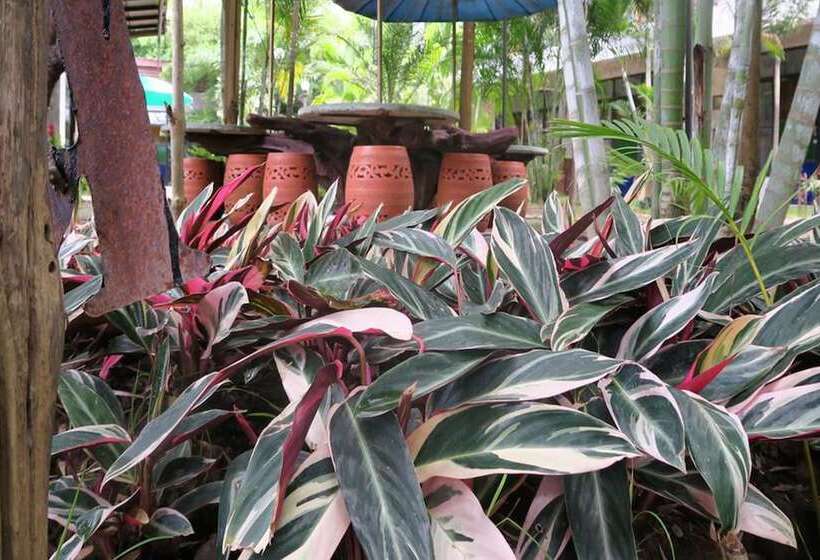 בית מלון כפרי The Picturebook Guesthouse