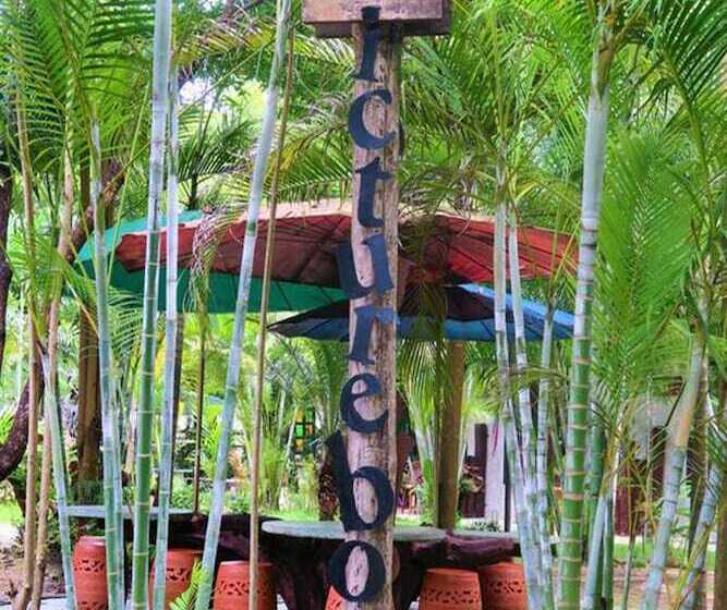 בית מלון כפרי The Picturebook Guesthouse