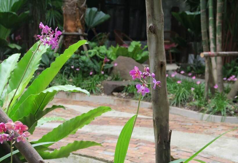 בית מלון כפרי The Picturebook Guesthouse