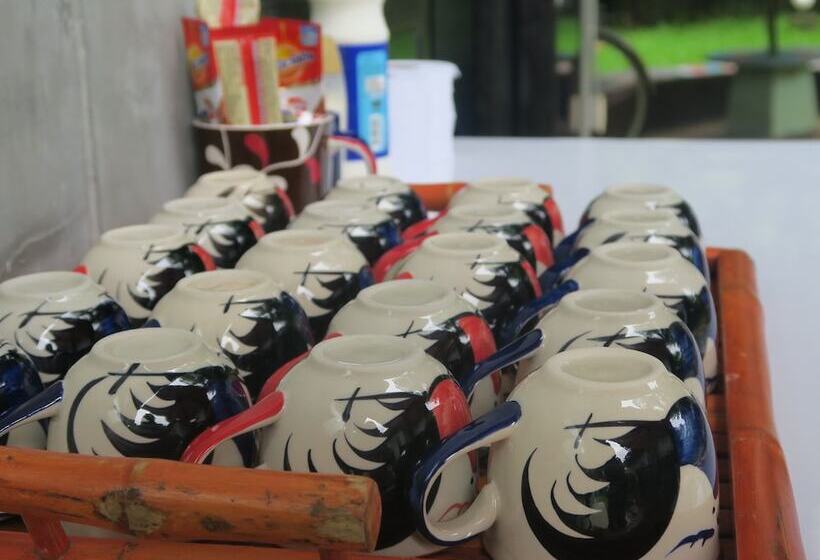 בית מלון כפרי The Picturebook Guesthouse