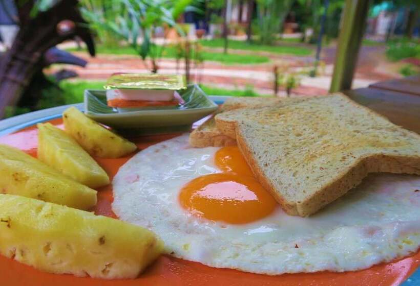 בית מלון כפרי The Picturebook Guesthouse