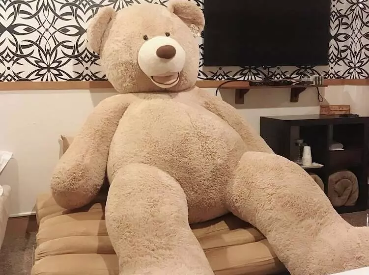 پانسیون Star B&b