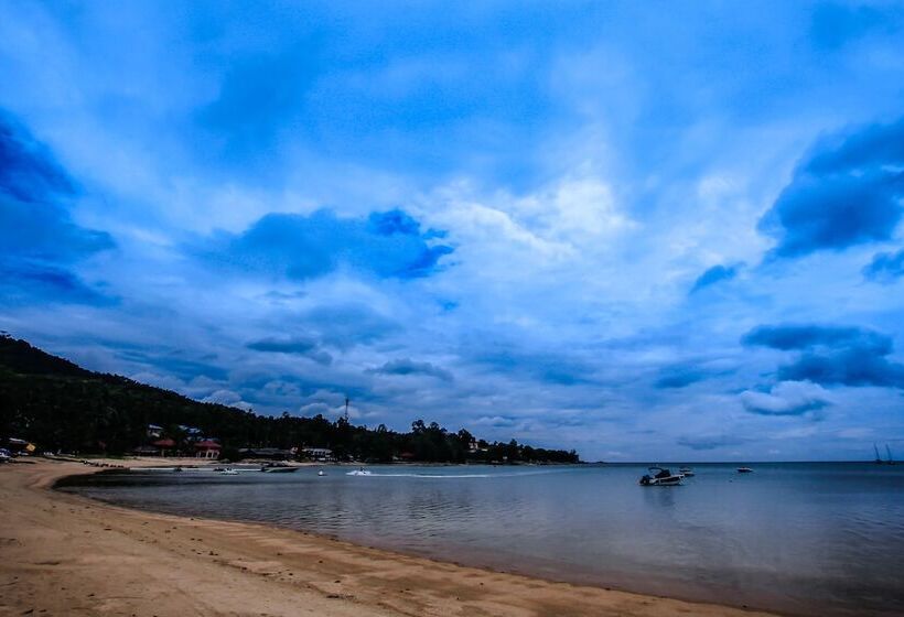 Bandon Beach Bar & Hostel   Adults Only