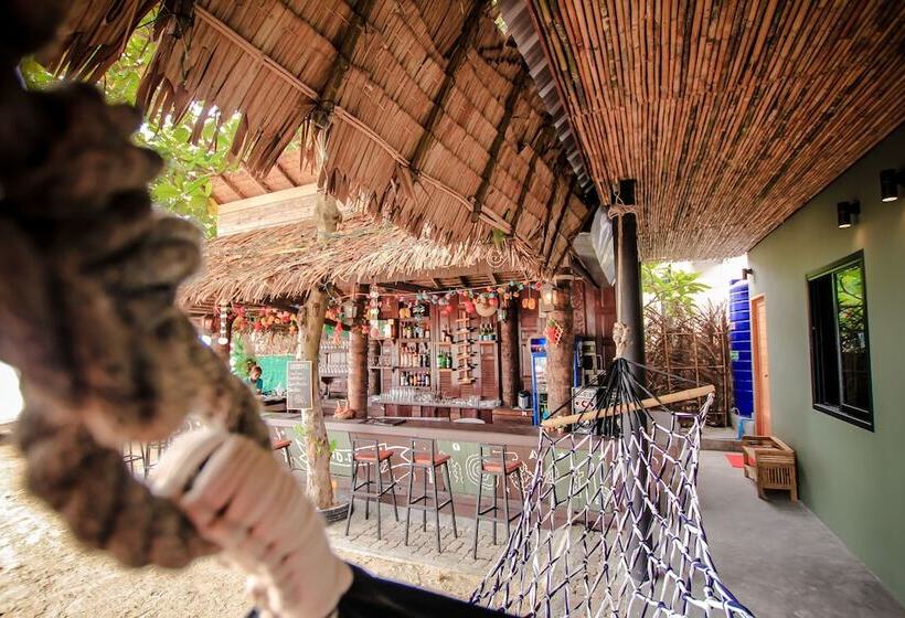 Bandon Beach Bar & Hostel   Adults Only