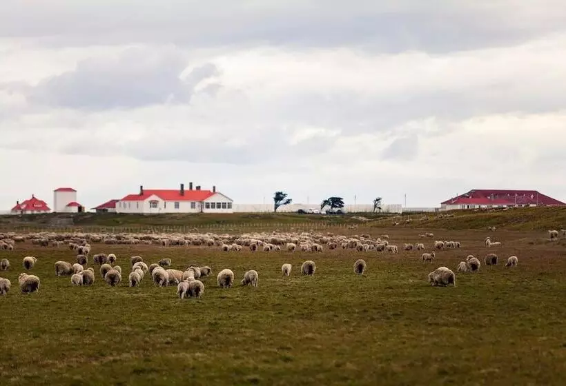 簡易ホテル Estancia Caleta Josefina