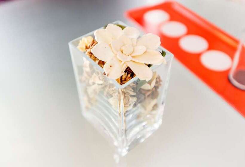 فندق Amosov S House