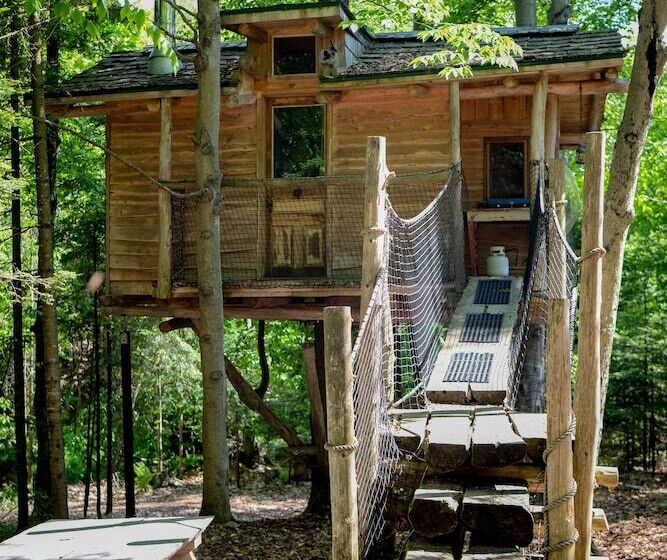 酒店 Chimo Refuges Treehouse Resort