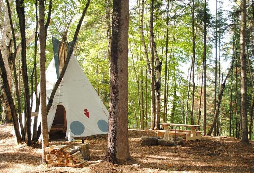 酒店 Chimo Refuges Treehouse Resort