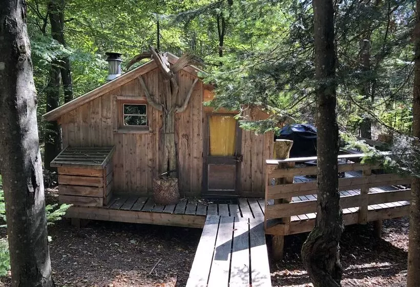 Hotelli Chimo Refuges Treehouse Resort