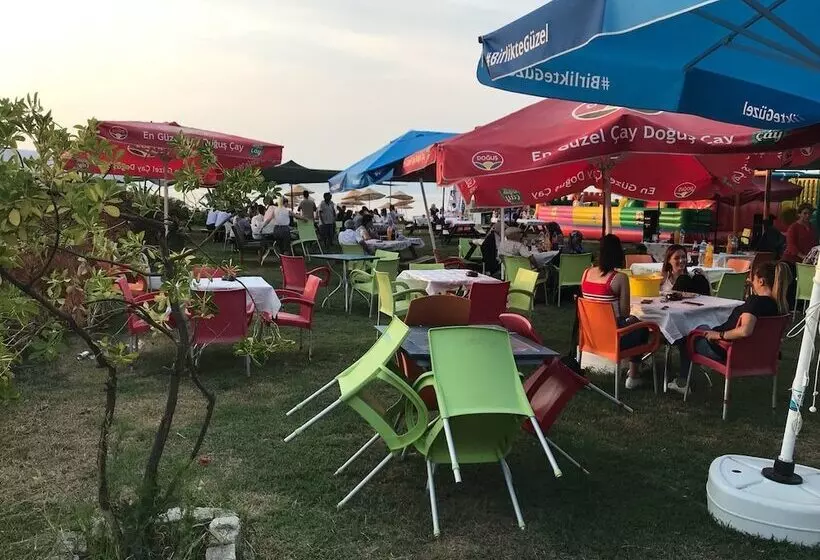 هتل Mola Camping
