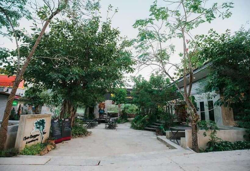 Otel Oxygen Homes&hills