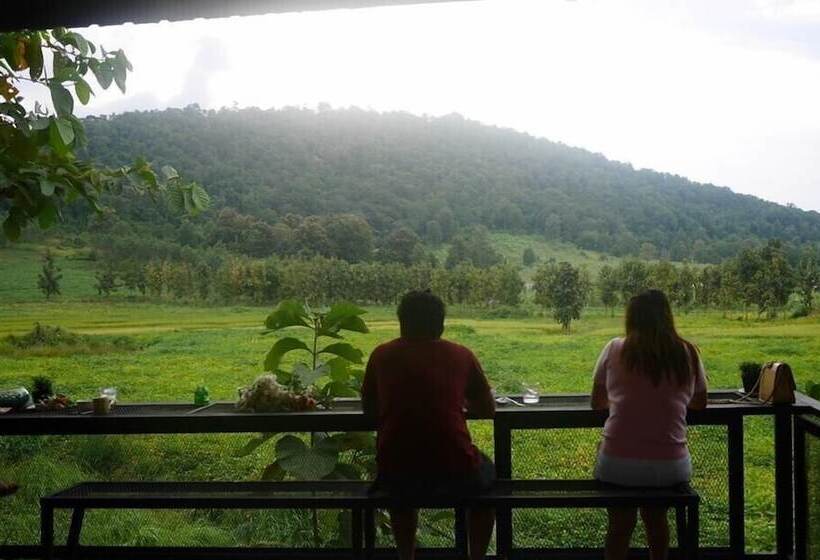 בית מלון כפרי Oxygen Homes&hills