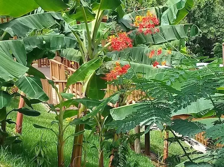 هتل Richardson Serenity Villa