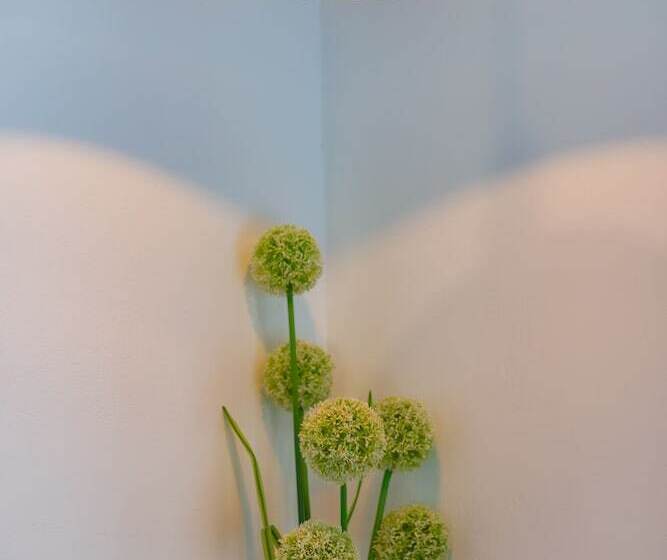 Hotel The Seaton House Phuket