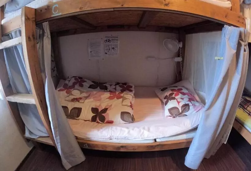 ユースホステル Zamamia International Guesthouse