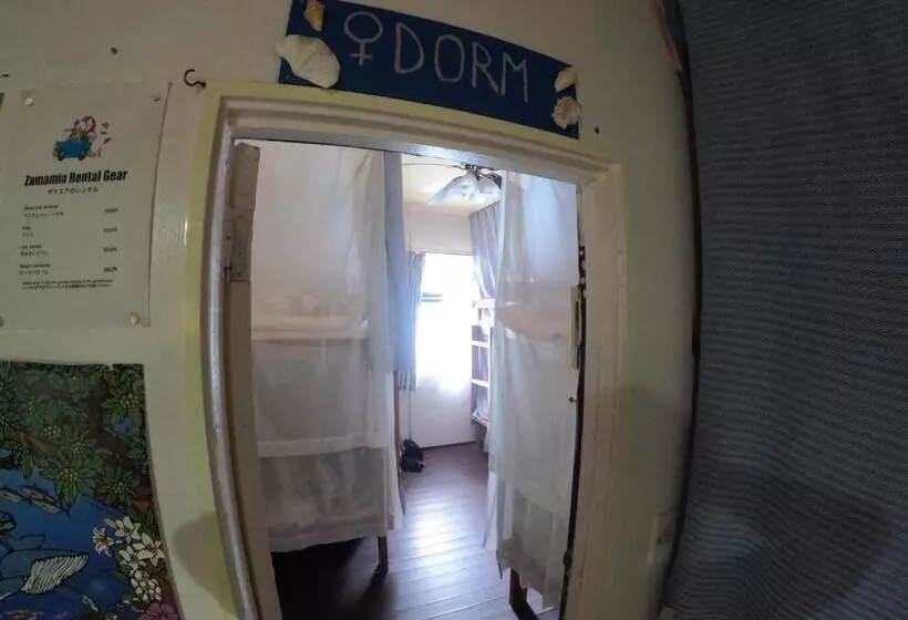 ユースホステル Zamamia International Guesthouse