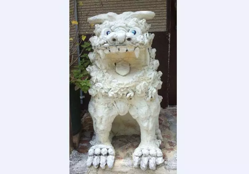 ユースホステル Zamamia International Guesthouse