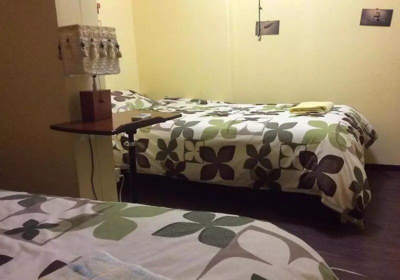 ユースホステル Zamamia International Guesthouse