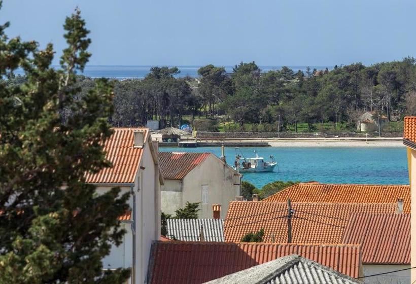 Apartments In City Center Ani