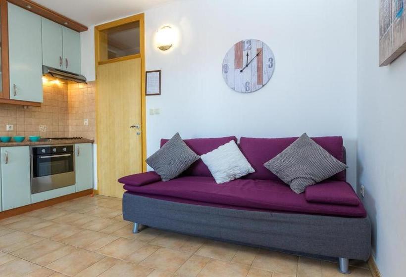 Apartments In City Center Ani