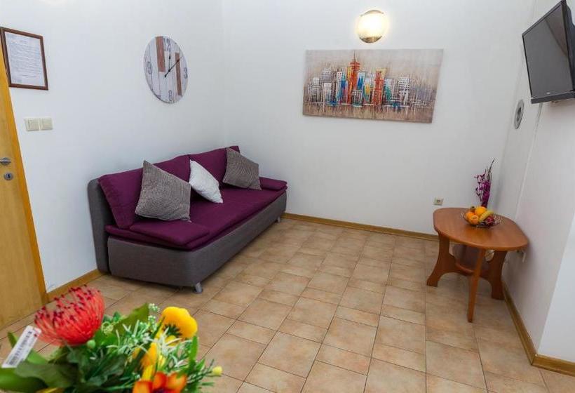 Apartments In City Center Ani