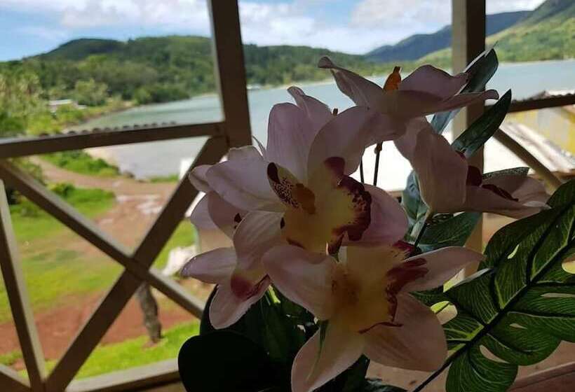 Bed and Breakfast Navutovuto Accommodation