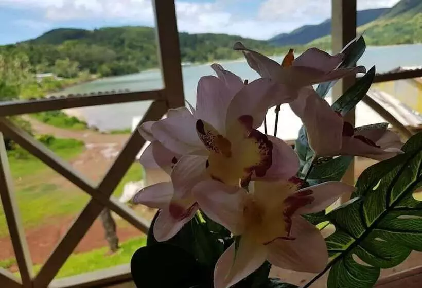 Aamiaismajoitus (B&B) Navutovuto Accommodation