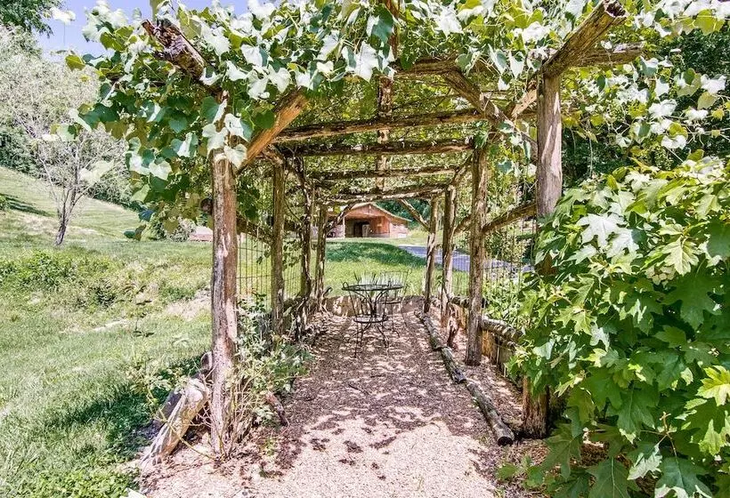 Butterfly Hollow B&b