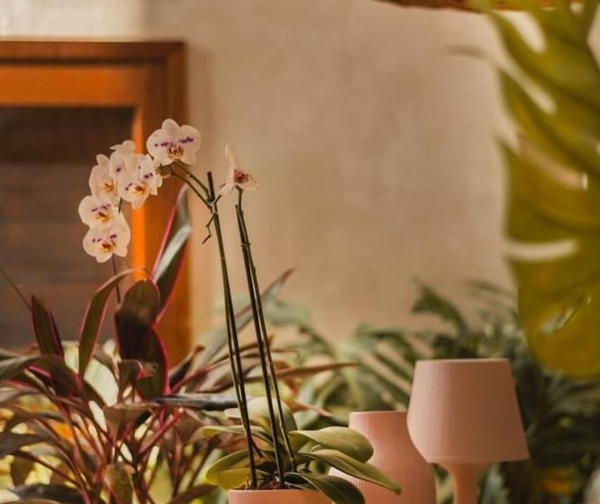 Hotel Alcobas Del Mar