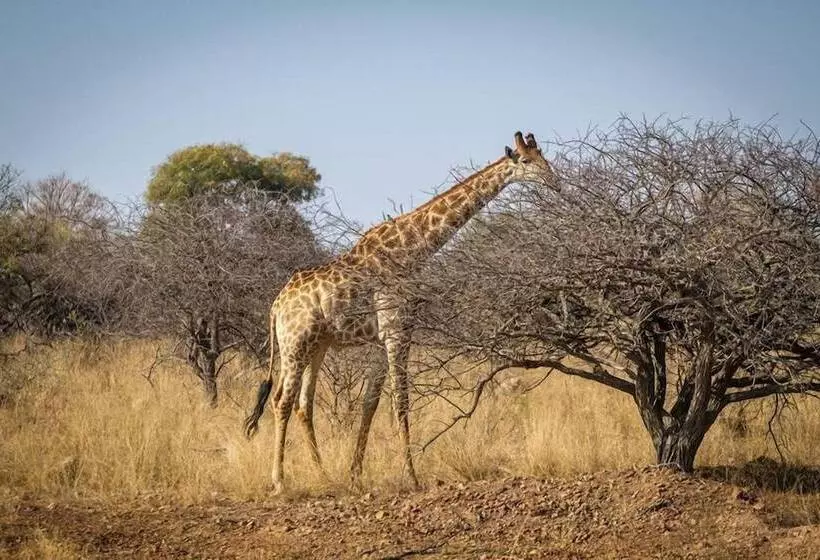 هتل Ritsako Game Lodge