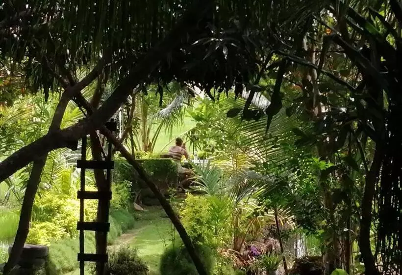 Hotelli Viveka Inn Guest And Yala Safari