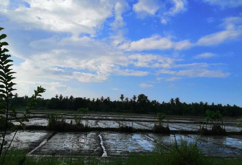 فندق Viveka Inn Guest And Yala Safari