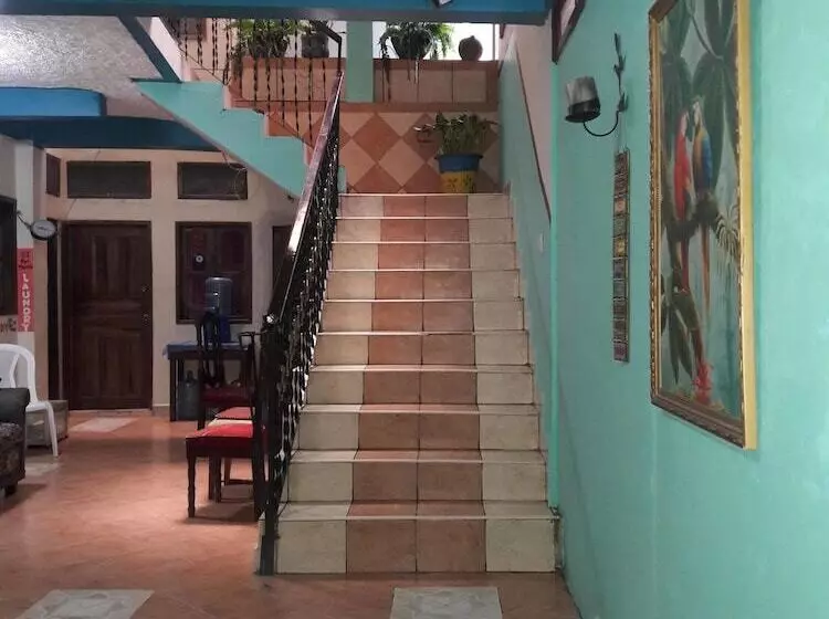 هتل Don Moises Hostel