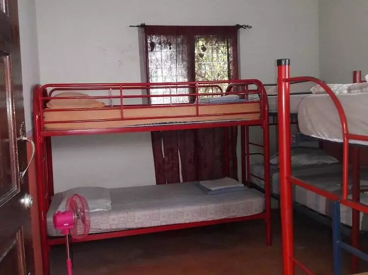 هتل Don Moises Hostel
