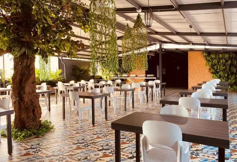 ホテル Doral Inn