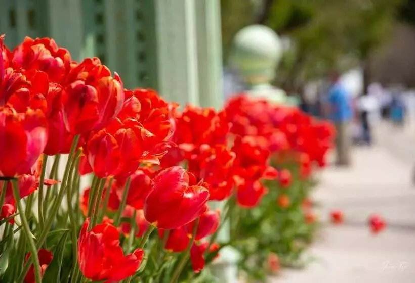 Hotelli Inn On Mackinac