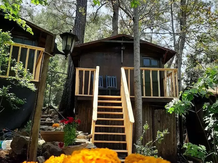 هتل Altaris Bungalows Olympos