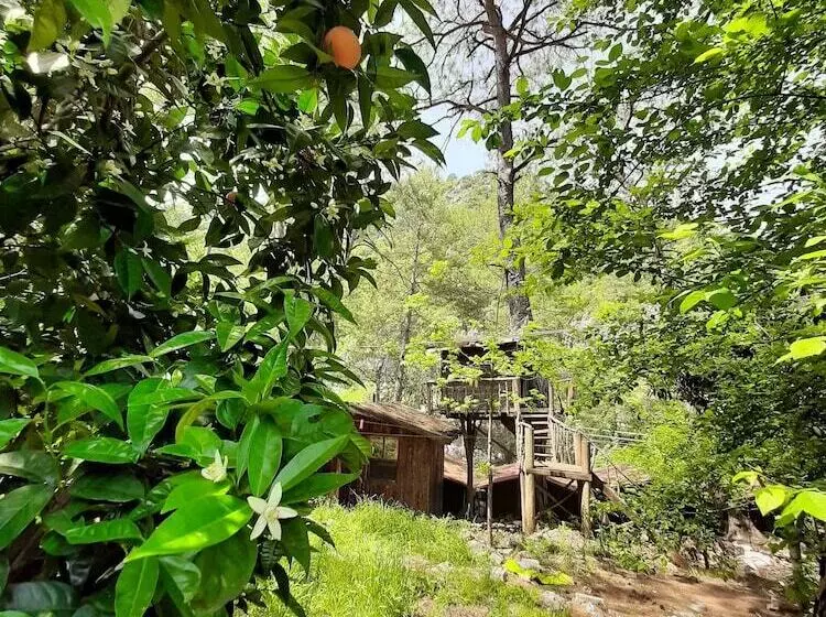 هتل Altaris Bungalows Olympos
