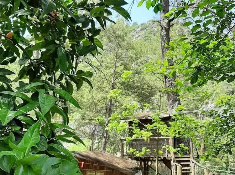 هتل Altaris Bungalows Olympos