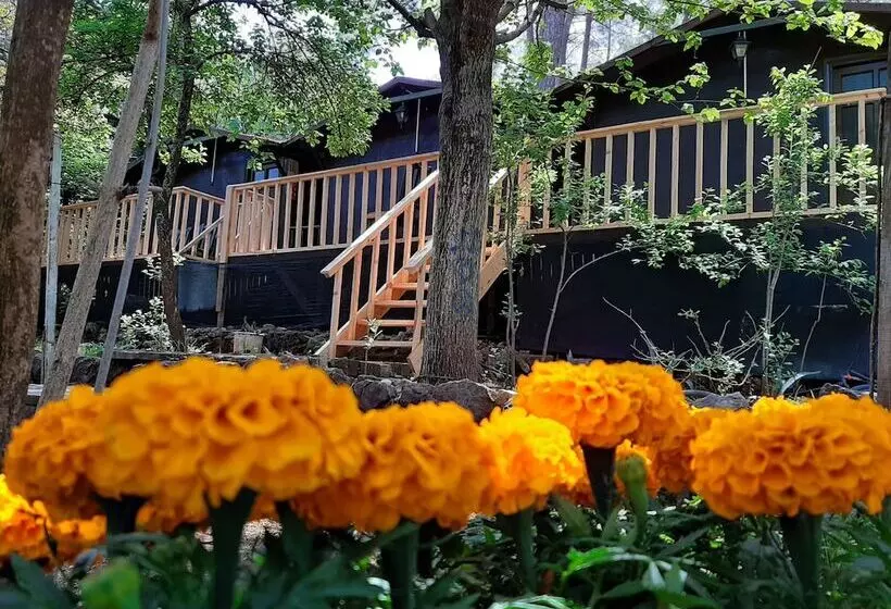 هتل Altaris Bungalows Olympos